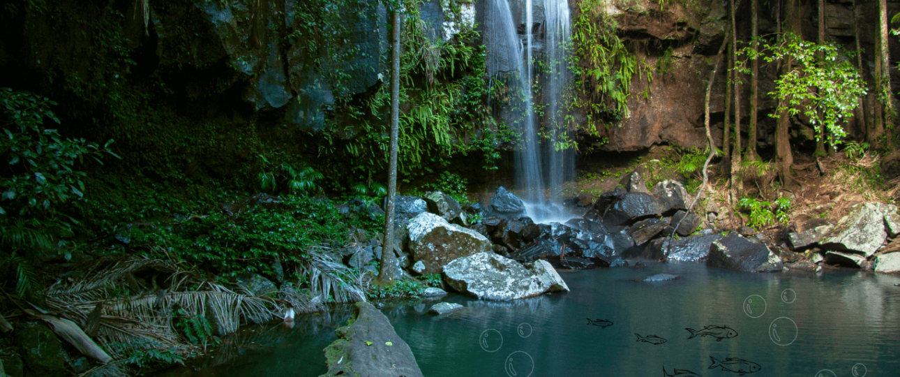 Best Waterfalls in Bali