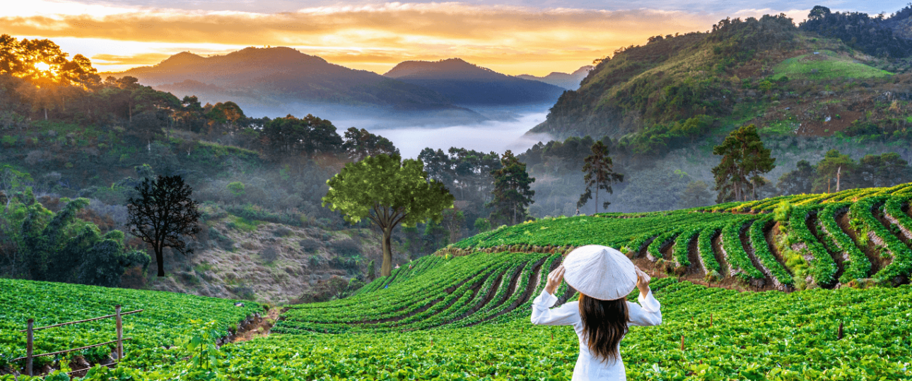 Beauty of Munnar