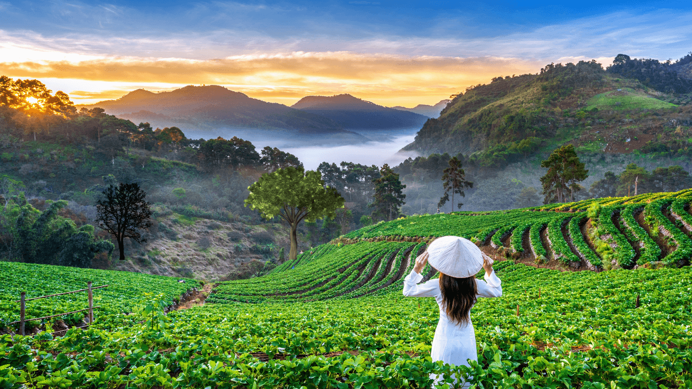 Discovering the Serene Beauty of Munnar: A Captivating Journey